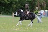 thornton-le-dale-gala showclass7acharity25-5-20160